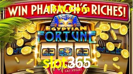 Experiência VIP slot365